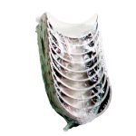 Isuzu NPR NQR 98-04 4.8 4HE1 4HE1T, OES JAPAN PREMIUM cam bearing set